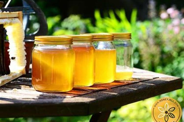 چگونه عسل به سلامت چشم کمک می‌کند؟